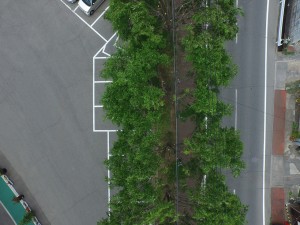 DJI_0029